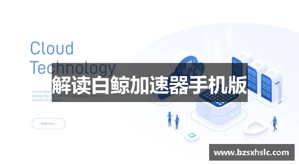解读白鲸加速器手机版